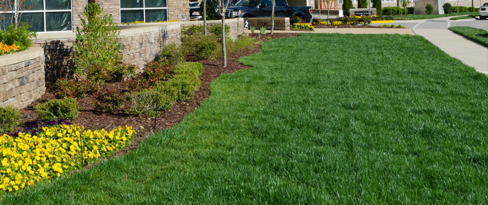Commercial lawn maintenance and mulching